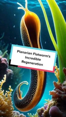  Félix le Flatworm: Découvrez l'incroyable capacité de régénération de ce petit ver aquatique!